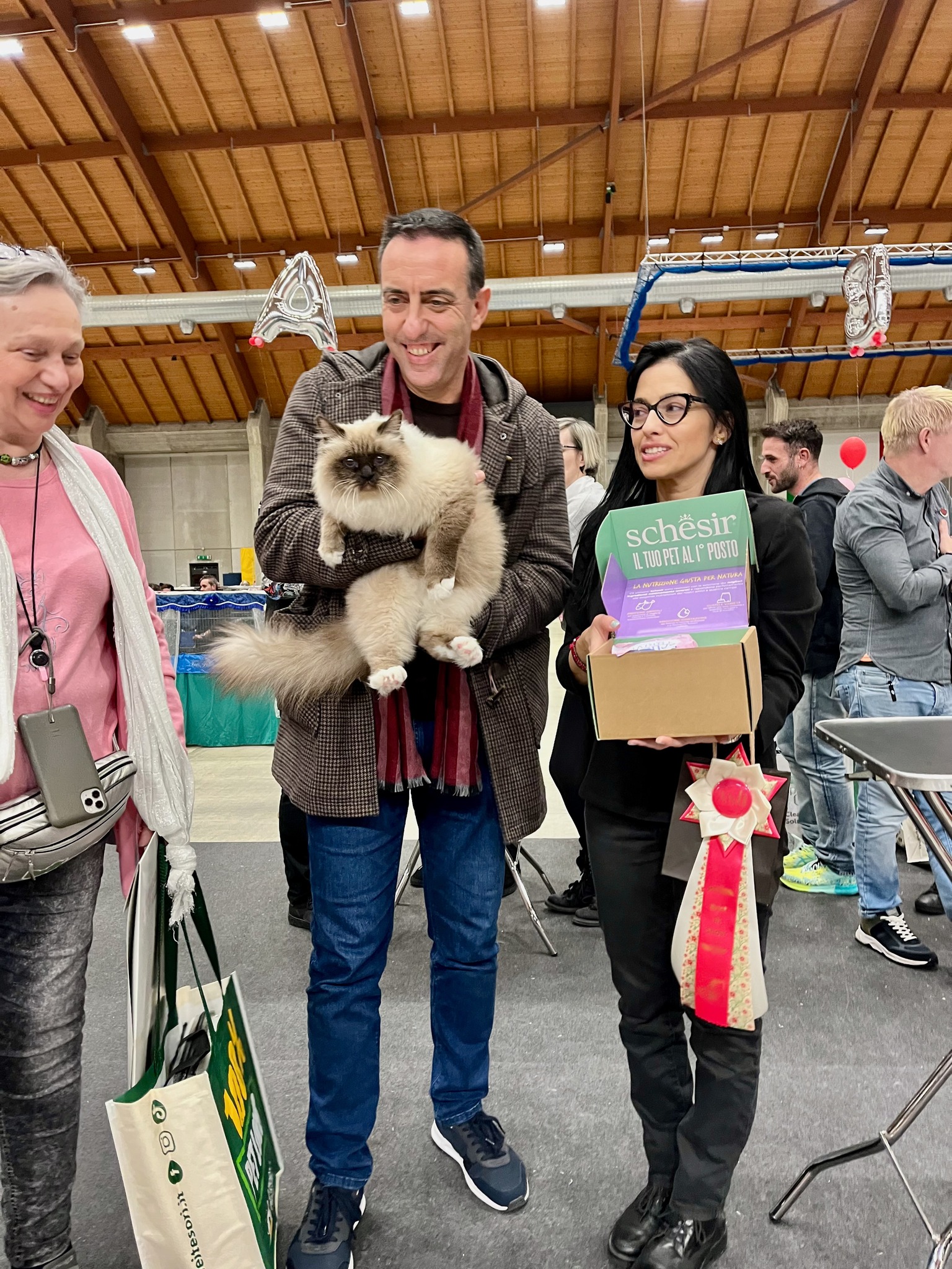allevamento gatto sacro di birmania Napoli