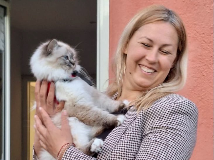 allevamento gatto sacro di birmania Napoli